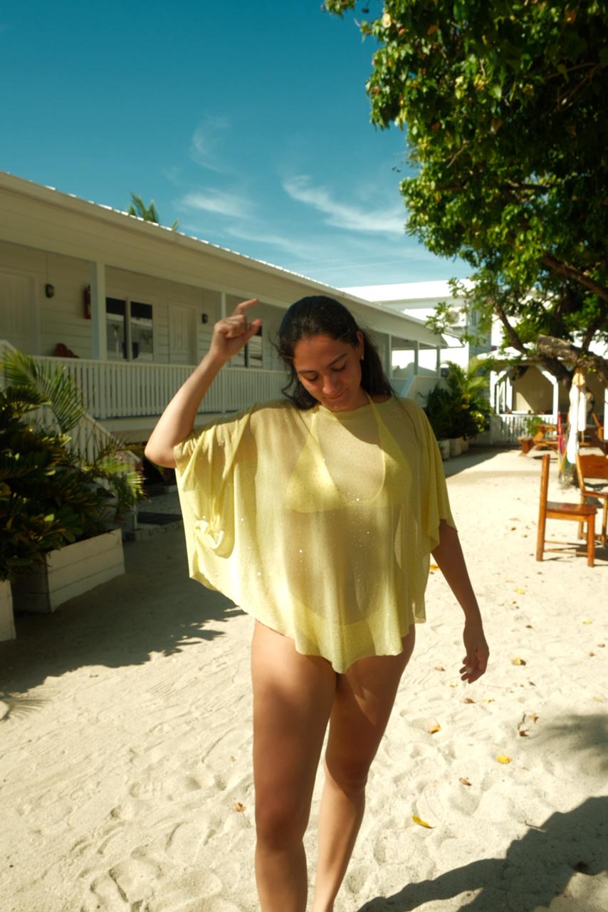 SOLECITO COVER-UP